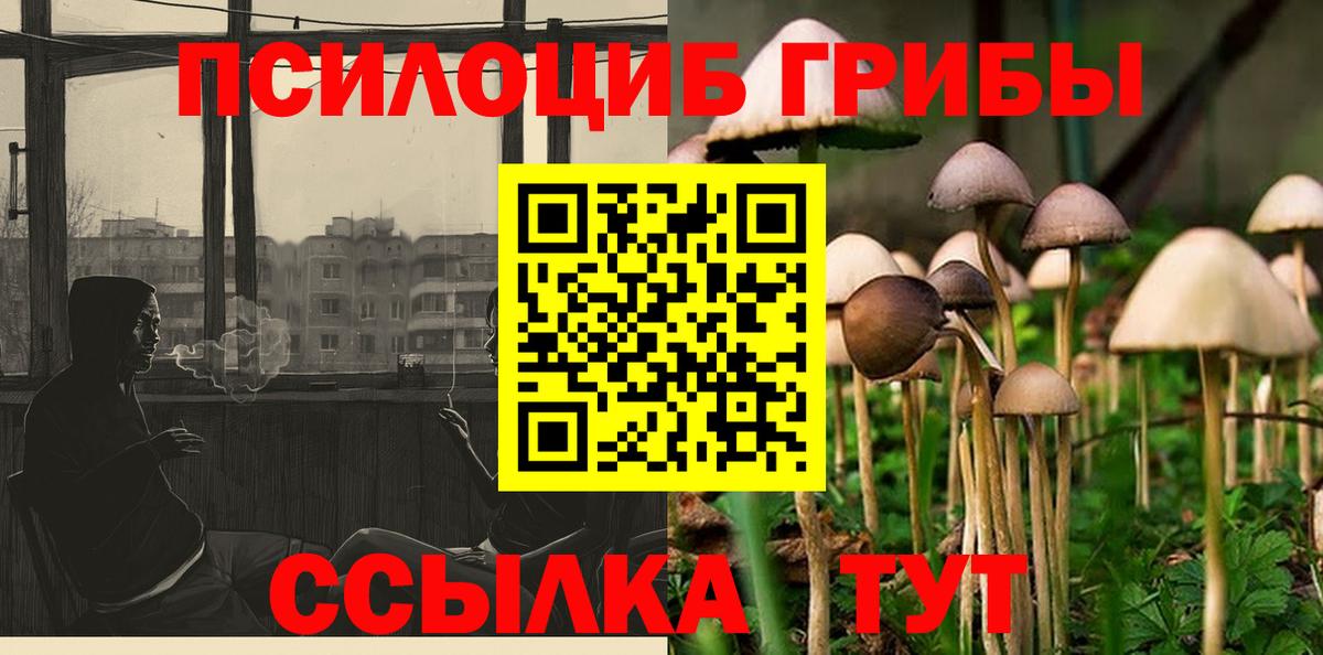 Псилоцибиновые грибы Psilocybe  Галлюциногенные грибы прущие грибы  Димитровград  закладка  Вход с VPN 
